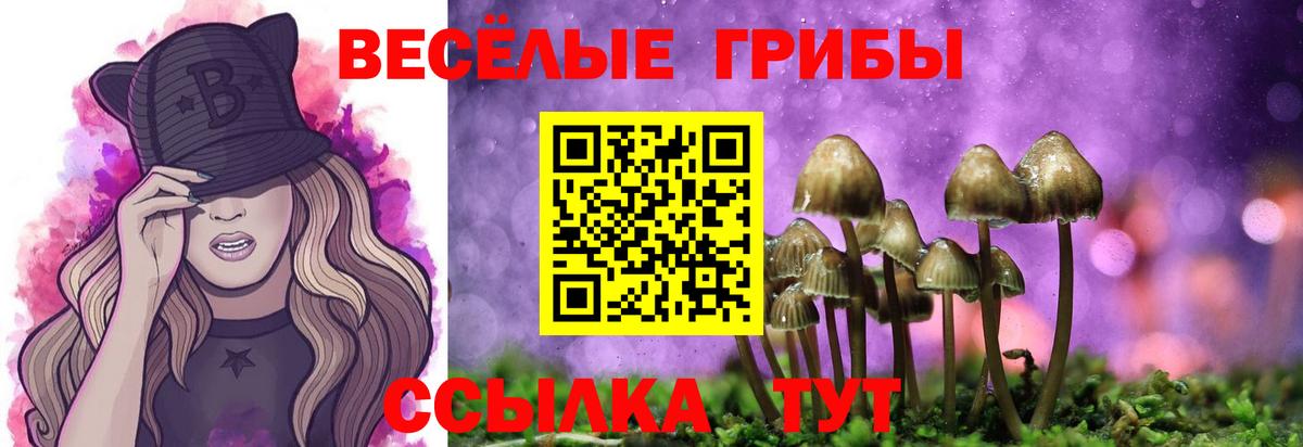 Псилоцибиновые грибы MAGIC MUSHROOMS Ижевск